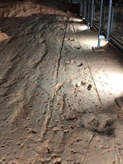 Winton: Dinosaur Stampede 3/4 Day Tour