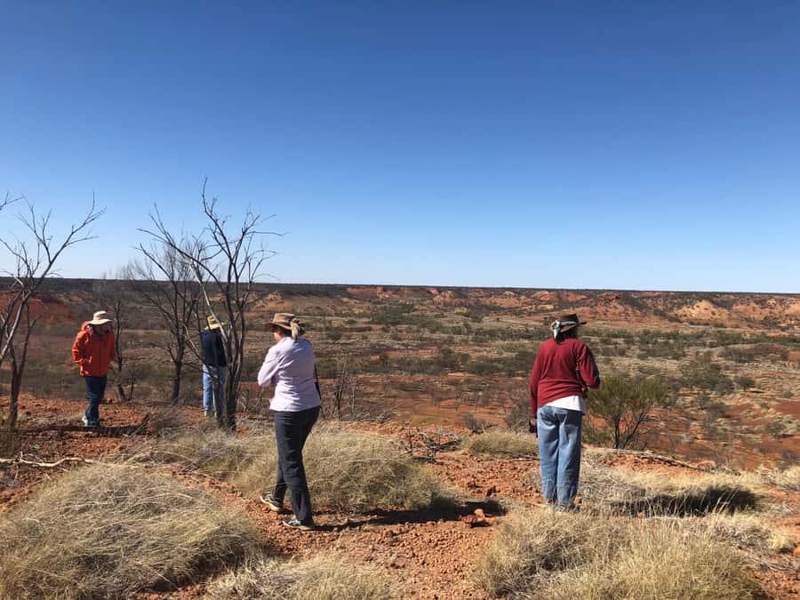Winton: Dinosaur Stampede 3/4 Day Tour - Lark Quarry and the Dinosaur Stampede