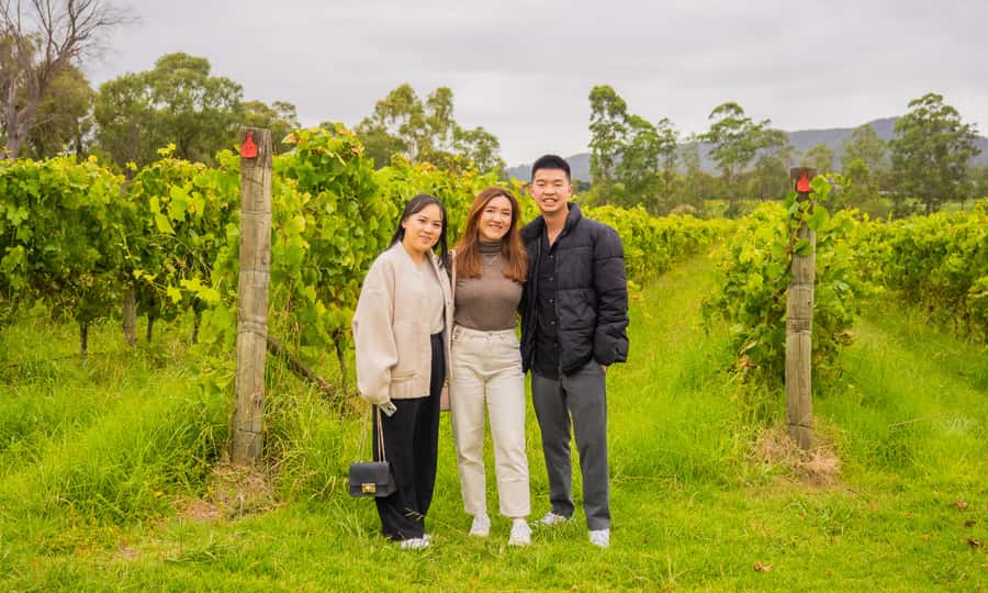 Yarra Valley Full Day Grazing Tour: Gin, Wine, Pizza, Cheese - Healesville gives you a useful pause