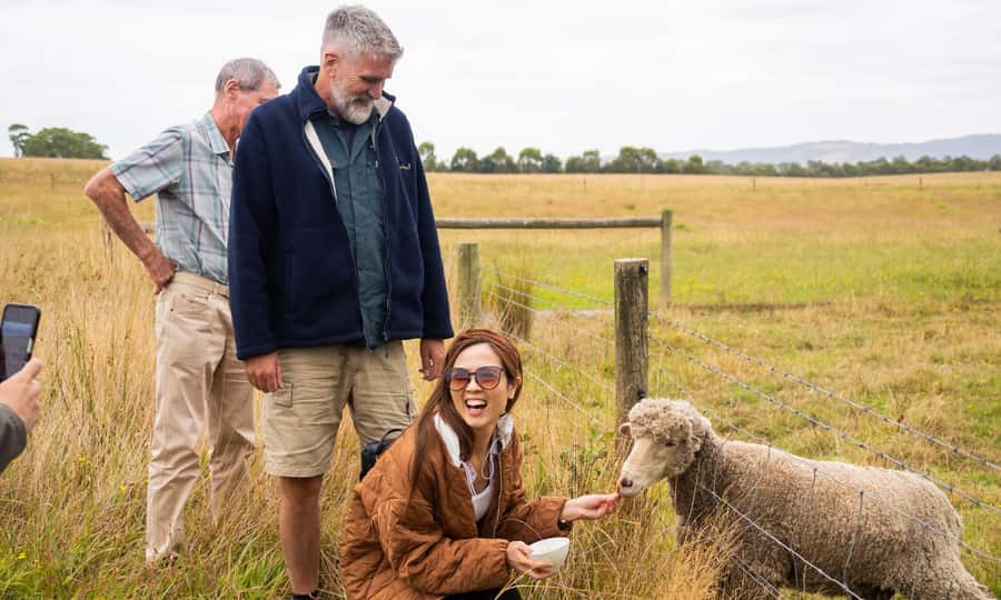 Yarra Valley Full Day Grazing Tour: Gin, Wine, Pizza, Cheese - Chocolate closes the day on a sweet note