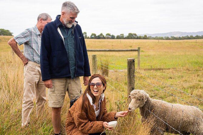 Yarra Valley Grazing Tour Wine, Cheese, Gin, Pizza from Melbourne - Healesville for coffee and a change of pace