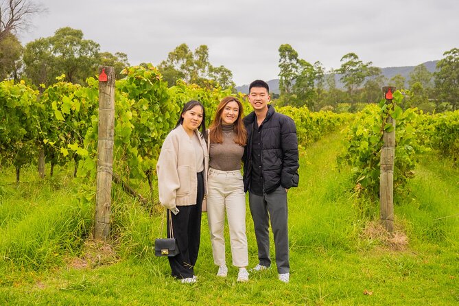 Yarra Valley Grazing Tour Wine, Cheese, Gin, Pizza from Melbourne - The Yarra Valley Chocolaterie as the finale