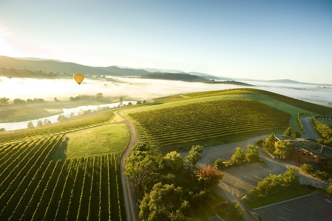Yarra Valley Wine Day Tour - An 8:30 am start from Melbourne