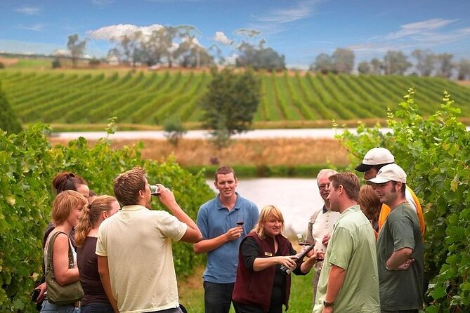 Yarra Valley Wine & Winery Tour from Melbourne - All Inclusive! - Four things to know before you book