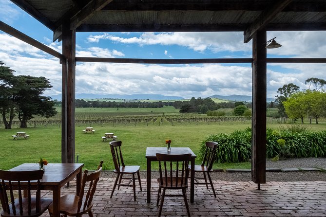 Yarra Valley Wine & Winery Tour from Melbourne - All Inclusive! - What the wine tasting is really like