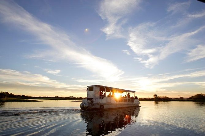 Yellow Water Cruise - Kakadu - Why Yellow Water Is One of Kakadu’s Essential Stops
