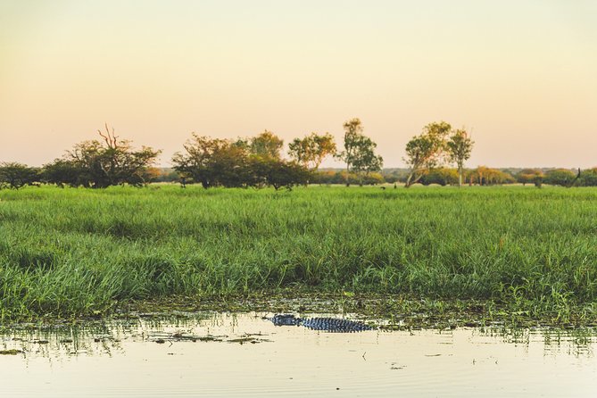 Yellow Water Cruise - Kakadu - Who Will Enjoy This Cruise Most