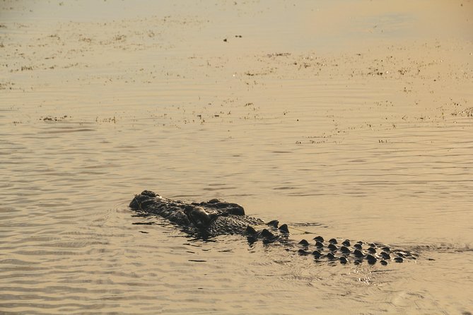 Yellow Water Cruise - Kakadu - Booking, Weather, and the Practical Details