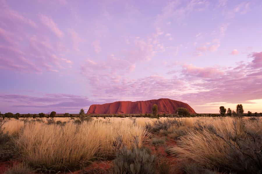 Yulara: Uluru Sunrise and Kata Tjuta Day Trip by Bus - Why this five-hour morning works well